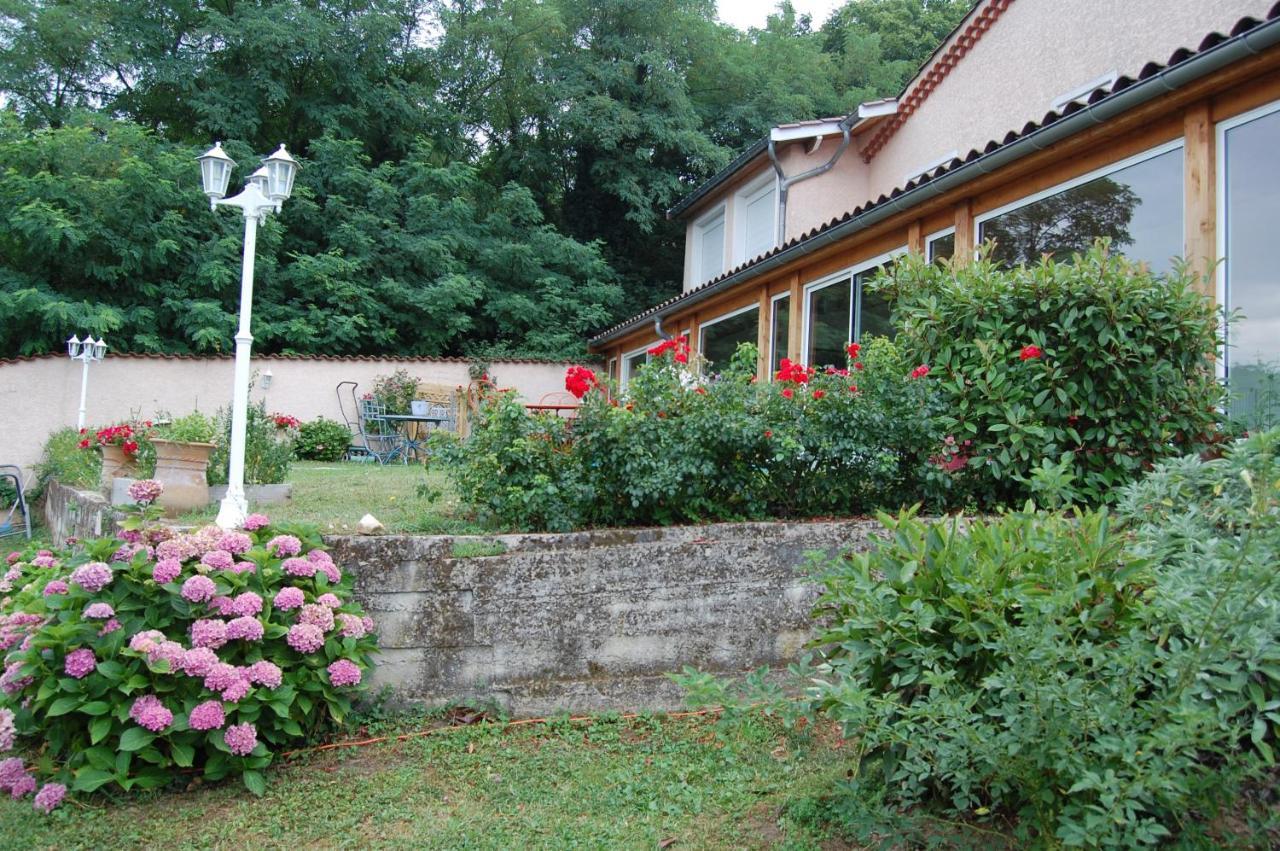 Villa Panoramique Saint-Clair-du-Rhone Εξωτερικό φωτογραφία