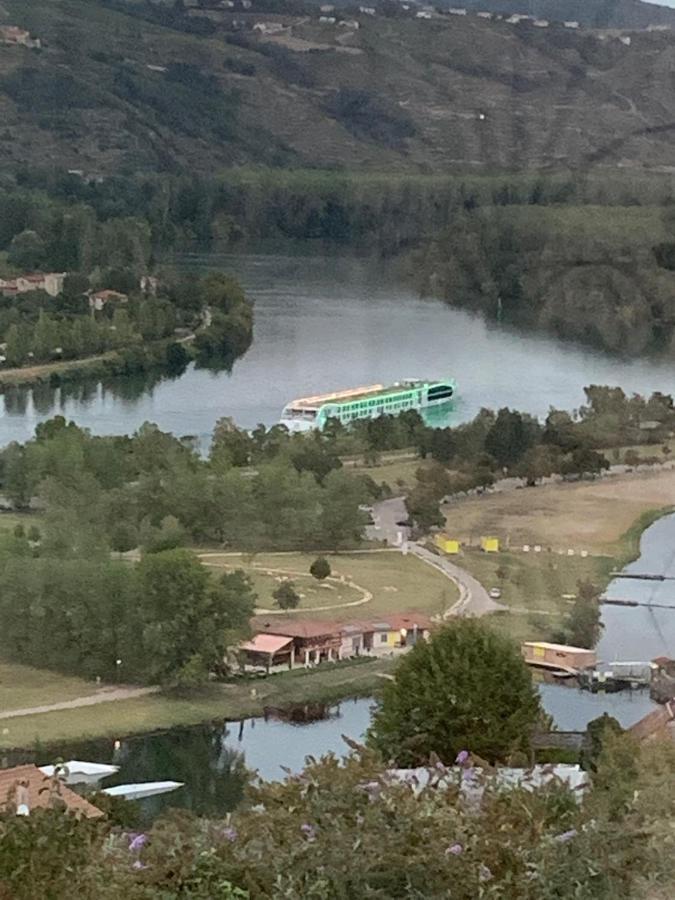 Villa Panoramique Saint-Clair-du-Rhone Εξωτερικό φωτογραφία